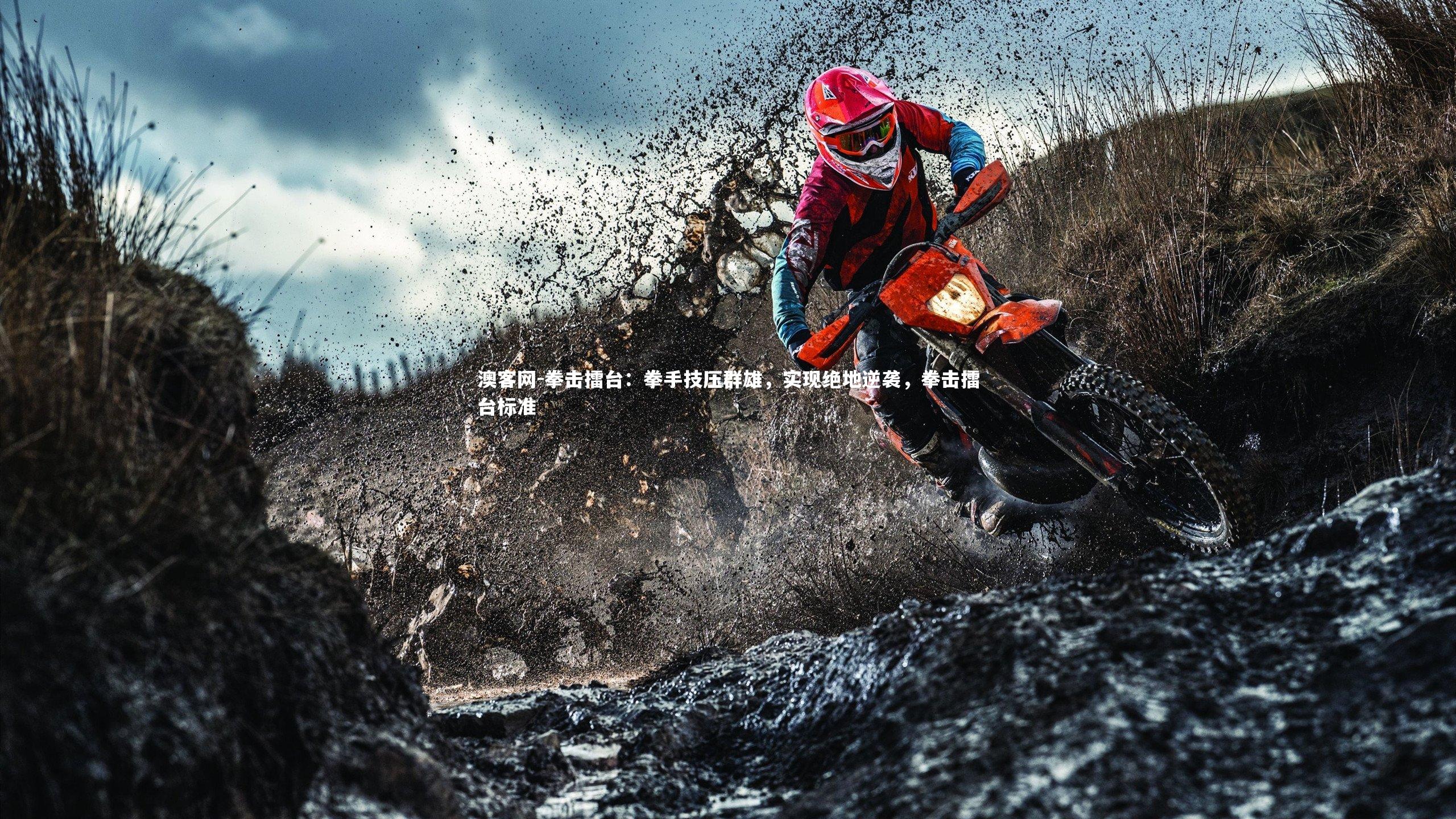 拳击擂台：拳手技压群雄，实现绝地逆袭，拳击擂台标准