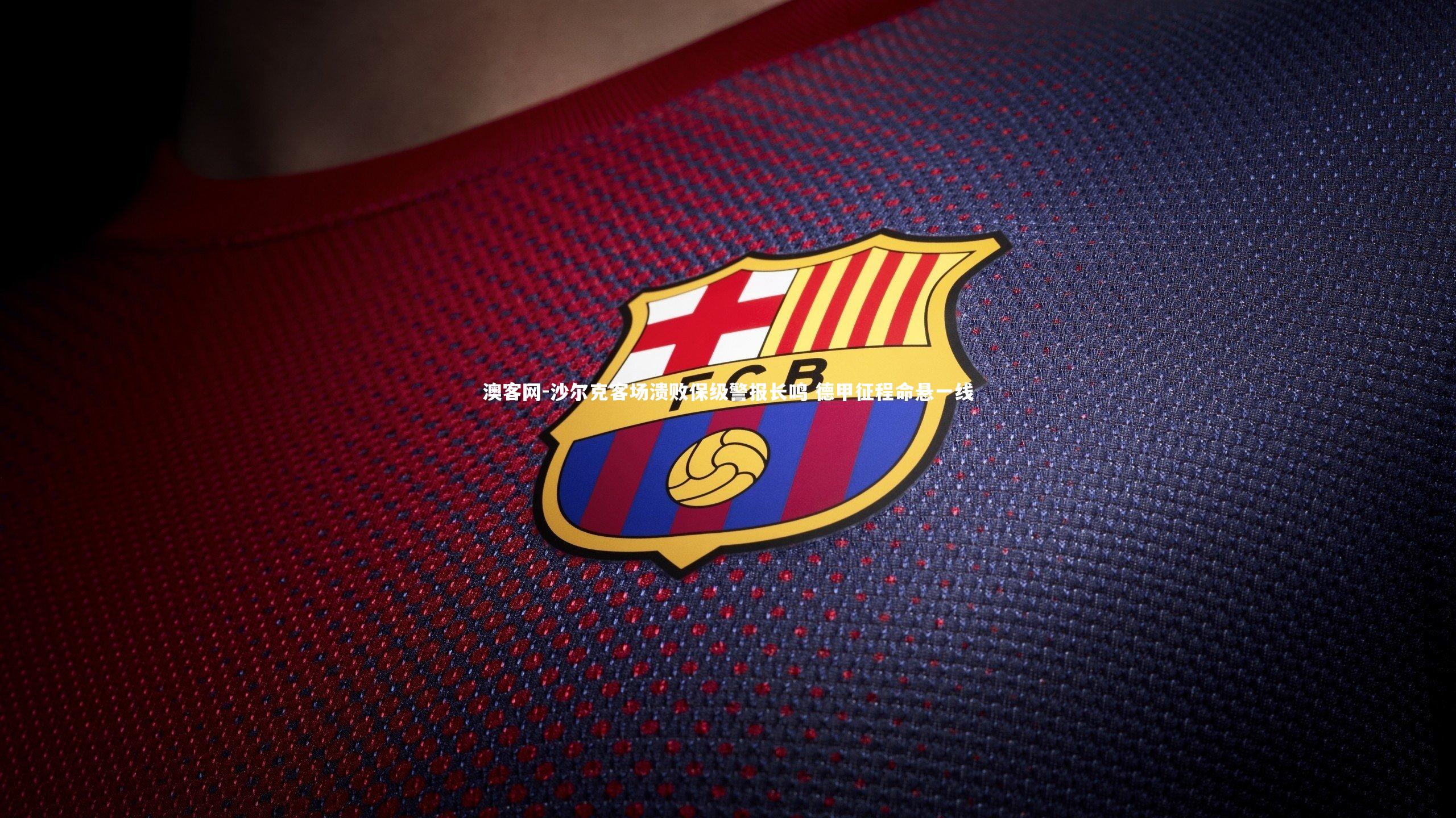 沙尔克客场溃败保级警报长鸣 德甲征程命悬一线